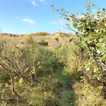 Osa - 150m From The Sea By Interhome Casa vacanze Nordenbro Vesteregn