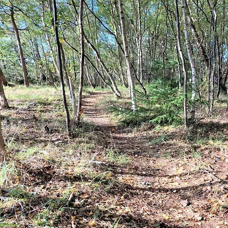 Casa vacanze Osa - 150m From The Sea By Interhome Nordenbro Vesteregn