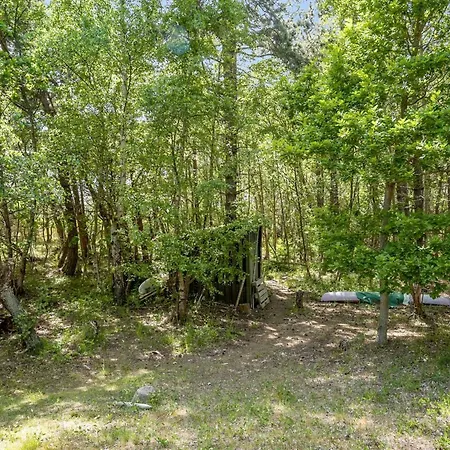 Osa - 150m From The Sea By Interhome Casa vacanze